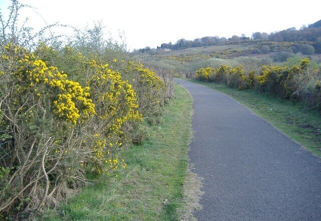 Cycleway, above Abersychan