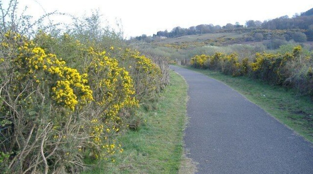Cycleway, above Abersychan
