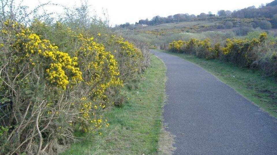 Cycleway, above Abersychan