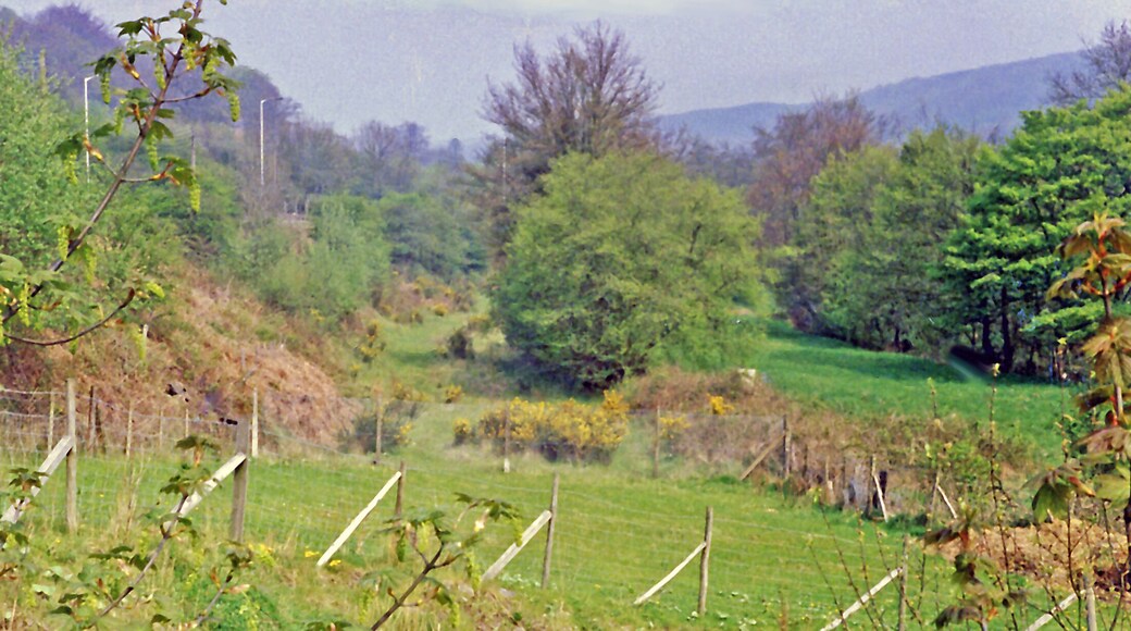 Site of Cwmavon (Mon./Gwent) station, 1988. View northward, towards Blaenavon (Low Level) station, ex-GWR Newport - Pontypool - Blaenavon (Eastern Valleys) line. The station and line had been closed from Pontypool (Crane St.) since 30/4/62. The view is up the Cwmavon valley to Mynydd Garw-Fawr (1,635 ft.).