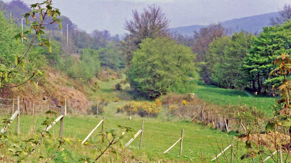 Site of Cwmavon (Mon./Gwent) station, 1988. View northward, towards Blaenavon (Low Level) station, ex-GWR Newport - Pontypool - Blaenavon (Eastern Valleys) line. The station and line had been closed from Pontypool (Crane St.) since 30/4/62. The view is up the Cwmavon valley to Mynydd Garw-Fawr (1,635 ft.).