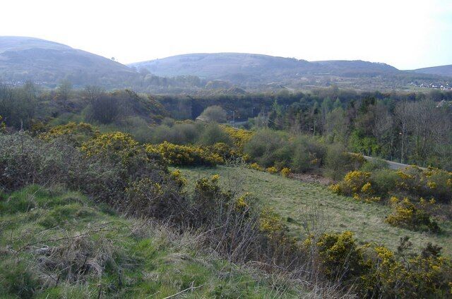 Old railway embankment, above Abersychan The hill in the distance, is Twyn Du.