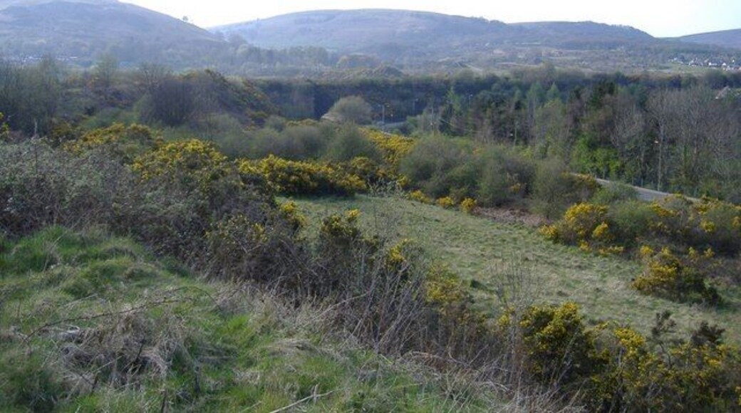 Old railway embankment, above Abersychan The hill in the distance, is Twyn Du.