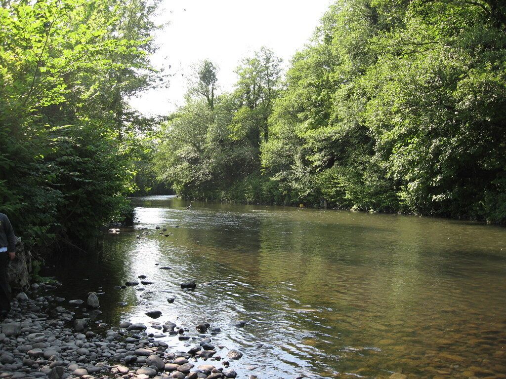 Un río de aguas cristalinas, rodeado de abundante vegetación verde.