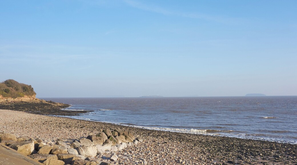 Flat Holm from Lavernock, February 2018