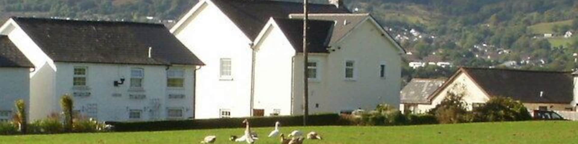 Garw Row, Croesyceiliog The view from The Highway across a field towards houses in Garw Row.