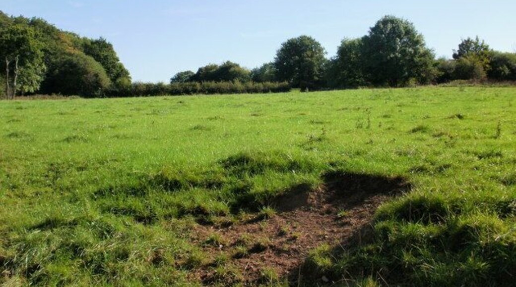 Field, Llanfrechfa Looking across a field close to the Llanfrechfa / Croesyceiliog border. Just behind the photographer is the B4236 near the A4042 roundabout.