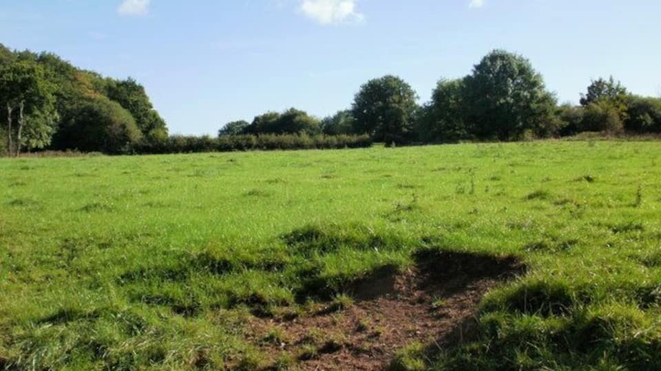 Field, Llanfrechfa Looking across a field close to the Llanfrechfa / Croesyceiliog border. Just behind the photographer is the B4236 near the A4042 roundabout.