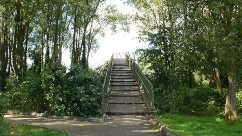 Un puente de madera en un parque rodeado de árboles.