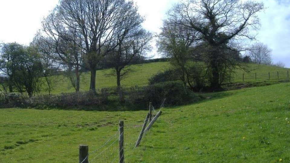 Fields, near Henllys