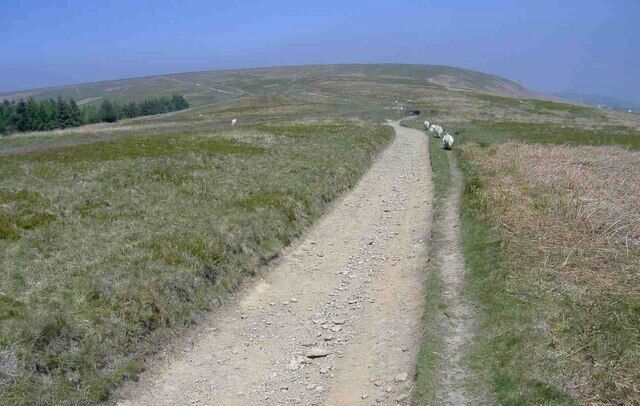 Track towards Mynydd Maen