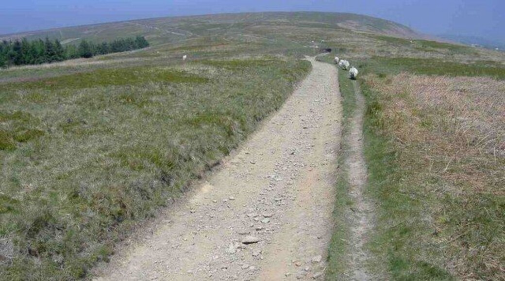 Track towards Mynydd Maen