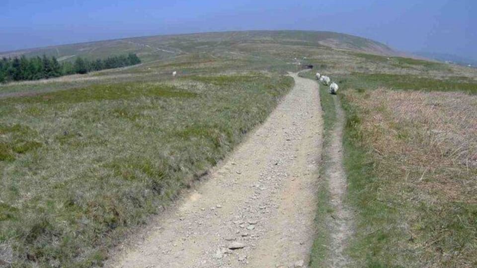 Track towards Mynydd Maen