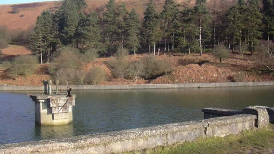 A calm lake with a concrete structure in the foreground and a forested hillside in the background.