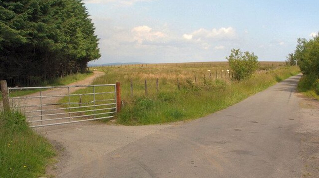 Gated lane junction north of Mynydd Ty-talwyn View, looking roughly eastwards, of a junction in the north of the grid square where a rather bumpy lane which has run south west from the A 4063 in the Llynfi Valley meets the mountain lane which passes through the square - as well as a gate.