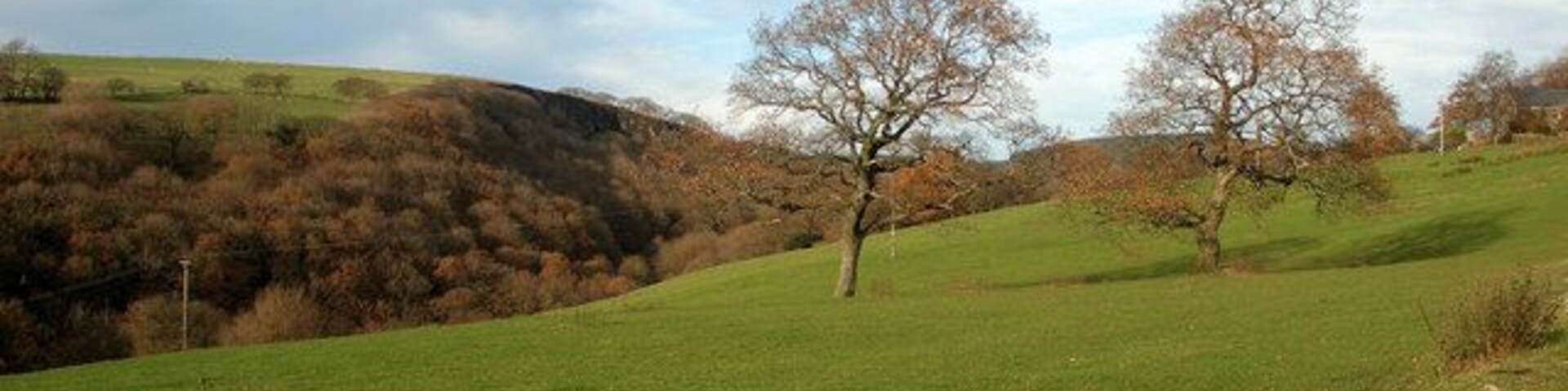 Above Cwm Du Looking northwards from a trackside location above the south of the valley.