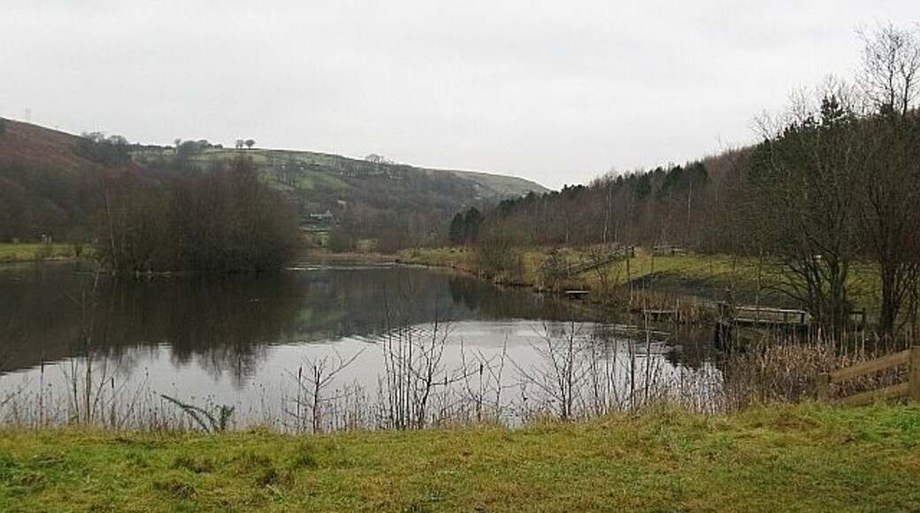 Parc Cwm Darran lake The lake has been dredged and slightly remodelled in the last year and is now nearly rectangular (compare the OS map).
