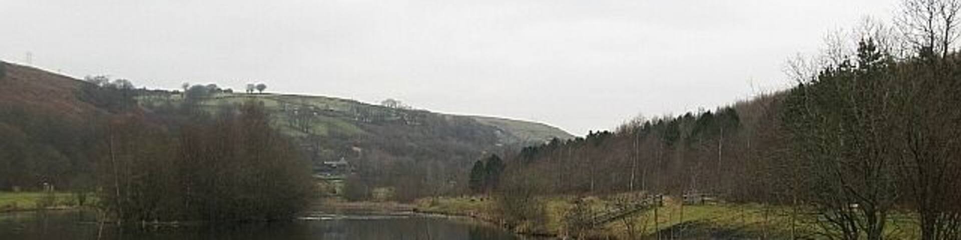 Parc Cwm Darran lake The lake has been dredged and slightly remodelled in the last year and is now nearly rectangular (compare the OS map).