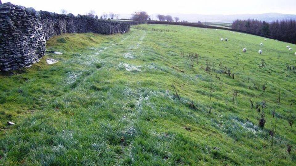 Pasture at Cefn Bach A footpath runs along the western side of the ridge, across the pastures of Cefn Bach farm. This area is full of rough pastures divided by substantial stone walls.