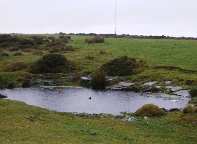 Cefn Gelligaer Gelligaer and Merthyr Common extends for a few miles. This is roughly halfway. Small ponds such as these are frequent; most are not marked on the map. The area is probably usually used for grazing horses but nothing was out on this cold rainy day. The transmitter in the background is on Twyn y Fidffawydd, two squares away.