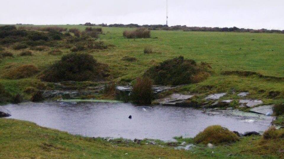 Cefn Gelligaer Gelligaer and Merthyr Common extends for a few miles. This is roughly halfway. Small ponds such as these are frequent; most are not marked on the map. The area is probably usually used for grazing horses but nothing was out on this cold rainy day. The transmitter in the background is on Twyn y Fidffawydd, two squares away.