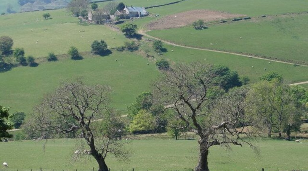 Farm on Craig-wen near Abertridwr Taken from the Common Land at Comin Eglwysllan.