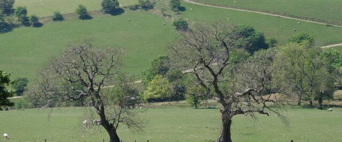 Farm on Craig-wen near Abertridwr Taken from the Common Land at Comin Eglwysllan.