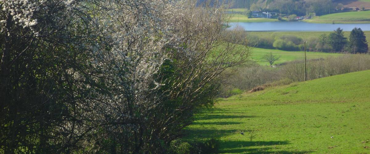 This is a photo of listed building number