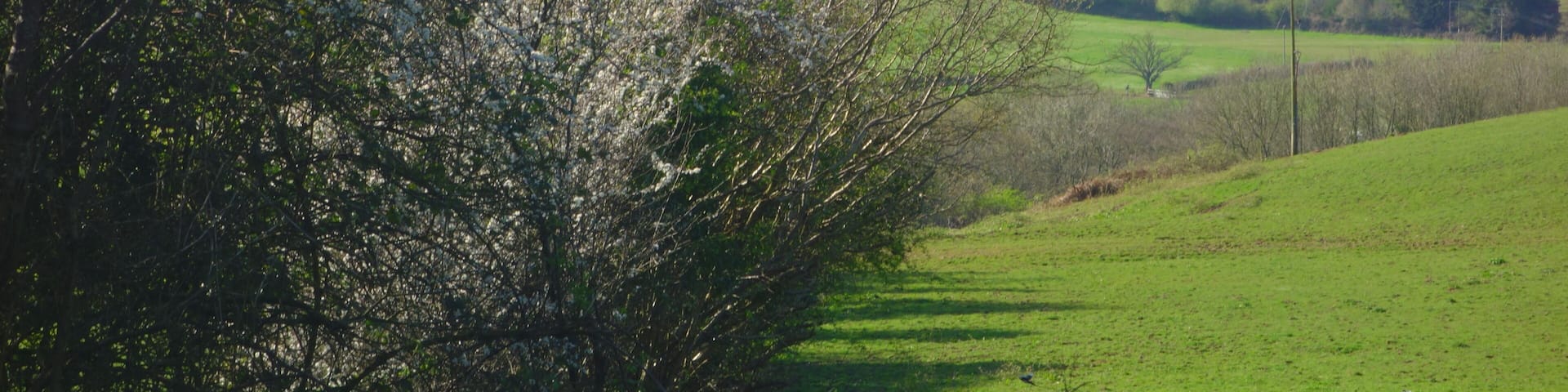 This is a photo of listed building number