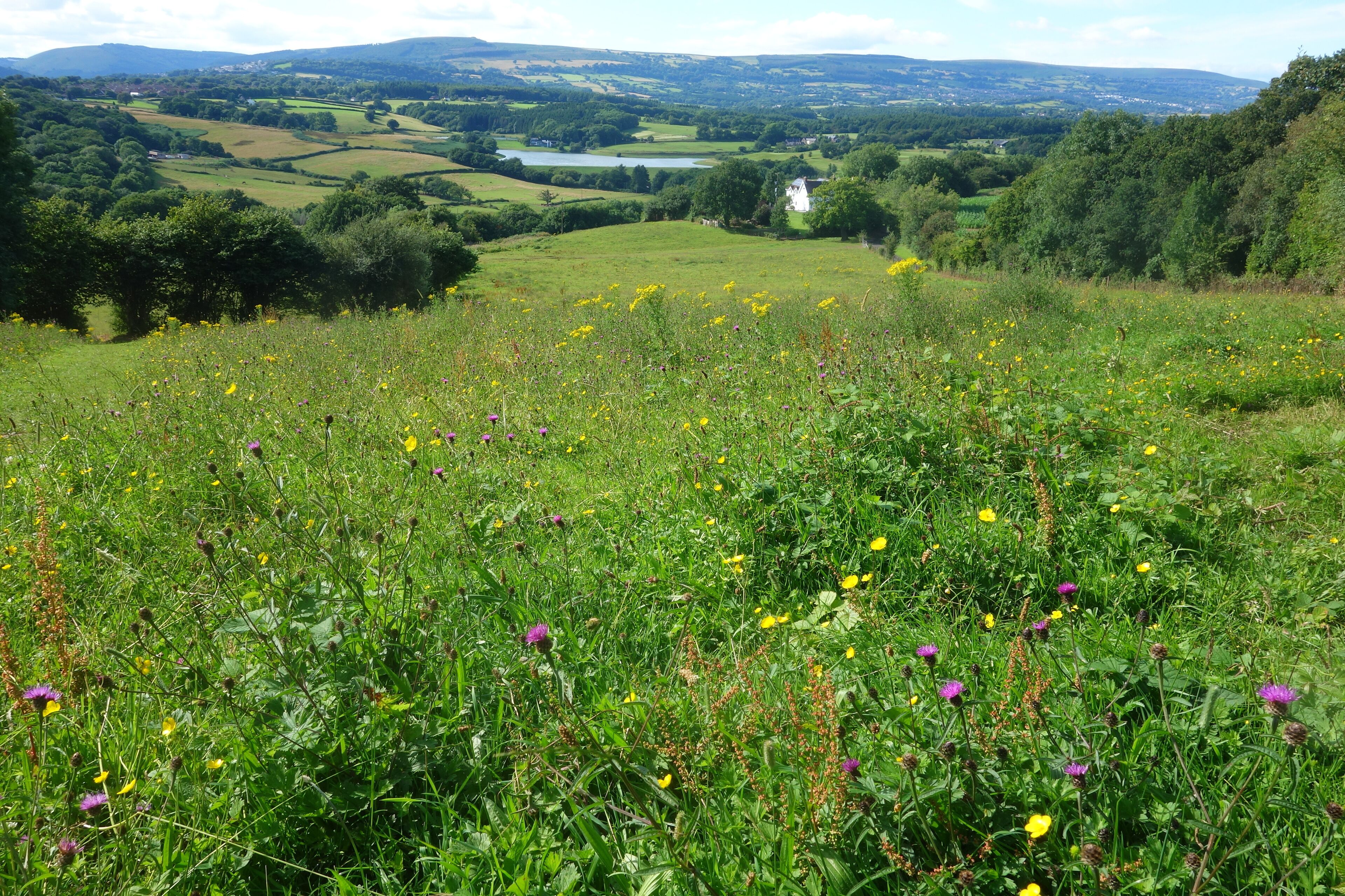 This is a photo of listed building number