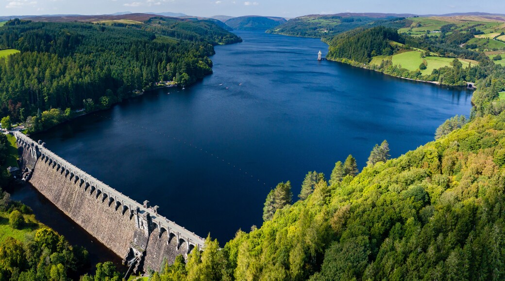 A large dam with multiple gates, surrounded by dense forests and hills.