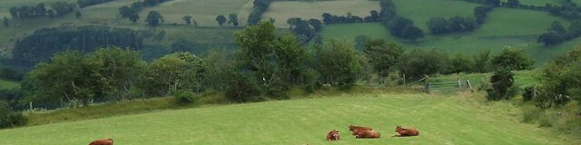 Ceredigion farmland , Nantcwnlle, Ceredigion The distant hills mark the northern slopes of the Aeron Valley. A "road used as a public path" follows the right hand edge of the field through the gate. This seems an odd category when nothing on the ground disturbs the grass being grown for hay and grazing.