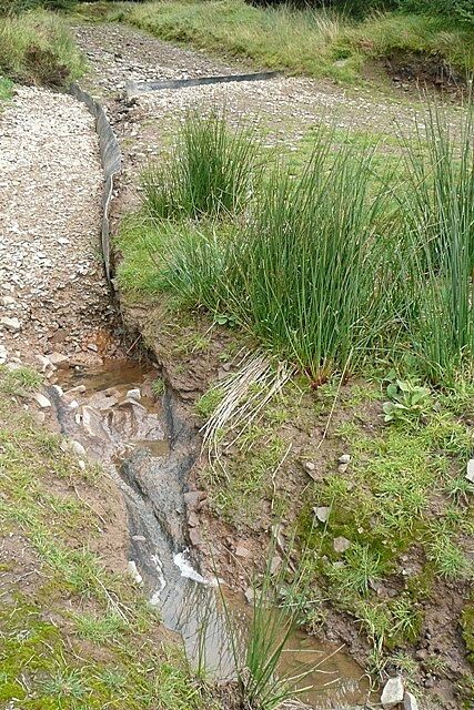 Forest drainage Extensive work has been undertaken to ensure that the rides drain properly, particularly at junctions.