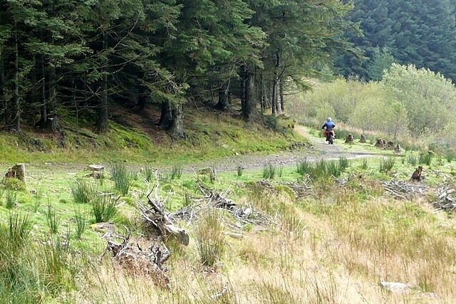 Scrambling in Gethin forest Another motorcycle scrambler howls along one of the forest tracks.
