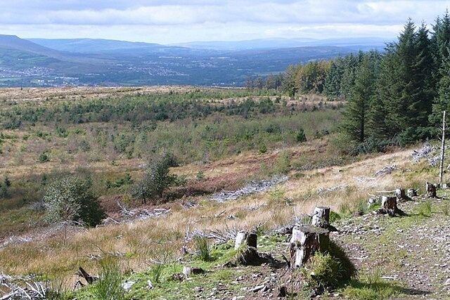 West from Mynydd Gethin Forest The map of the square shows extensive forestry. In practice this has been recently felled and new trees planted. Thus there is an extensive view west from a track on the eastern part of the square.