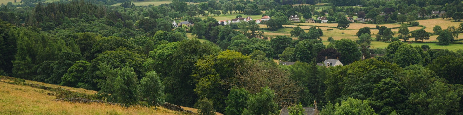 Paisagem rural com colinas ondulantes, árvores dispersas e algumas casas ao longe.