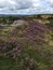Waun-Y-Llyn Country Park
