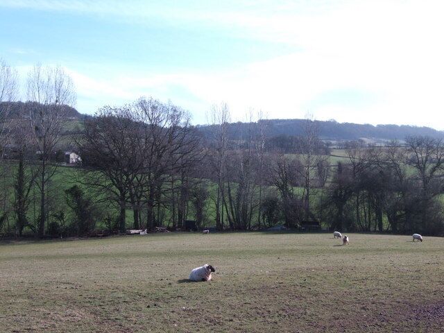 A grassy field with a dog, sheep, and a few trees in the background.