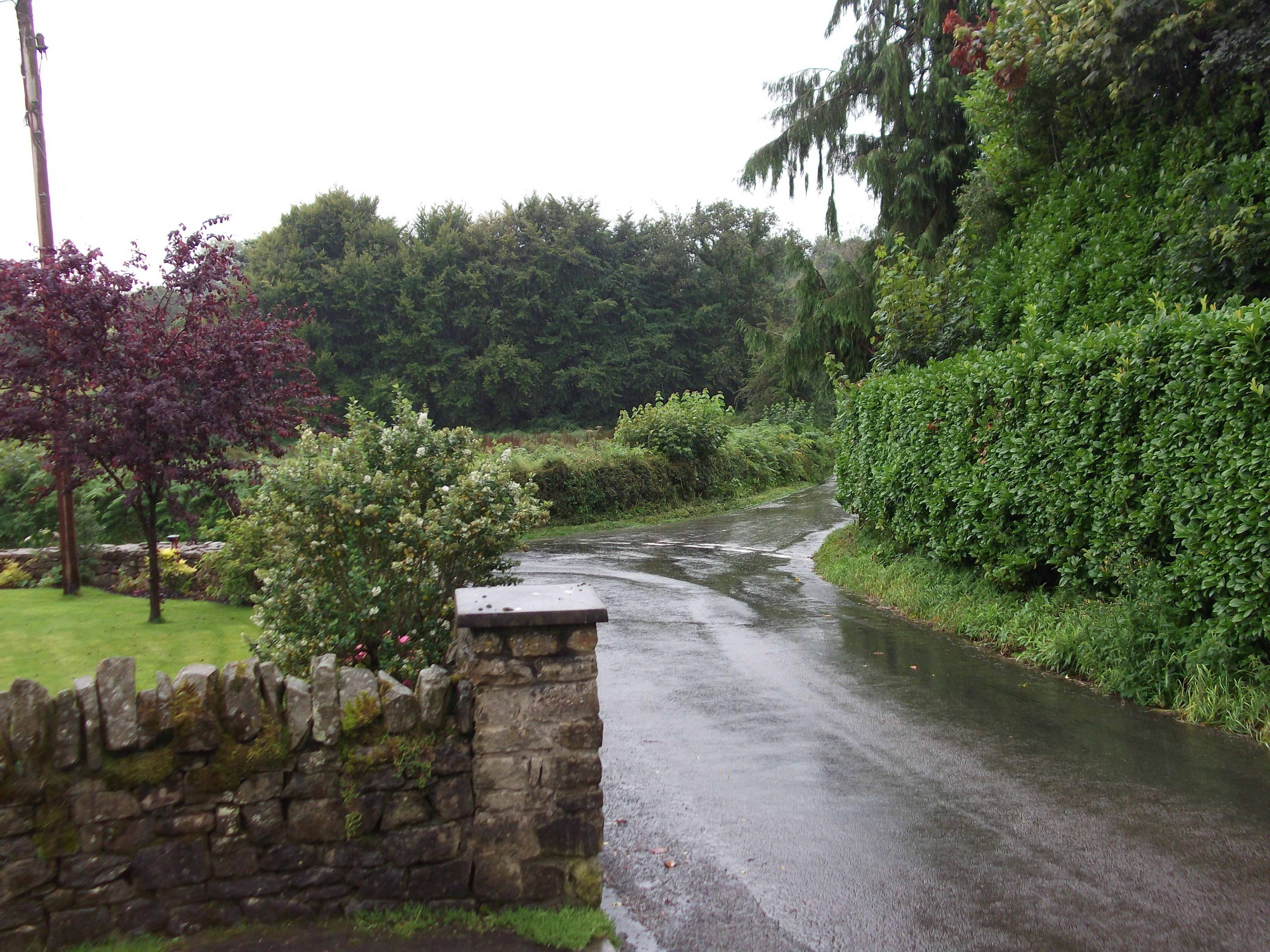 Catbrook - greetings to M.C. & T.S. :}