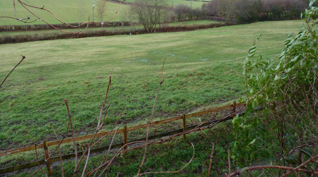 Medieval building platforms in the field immediately west of the Churchyard in Trellech, Monmouthshire.