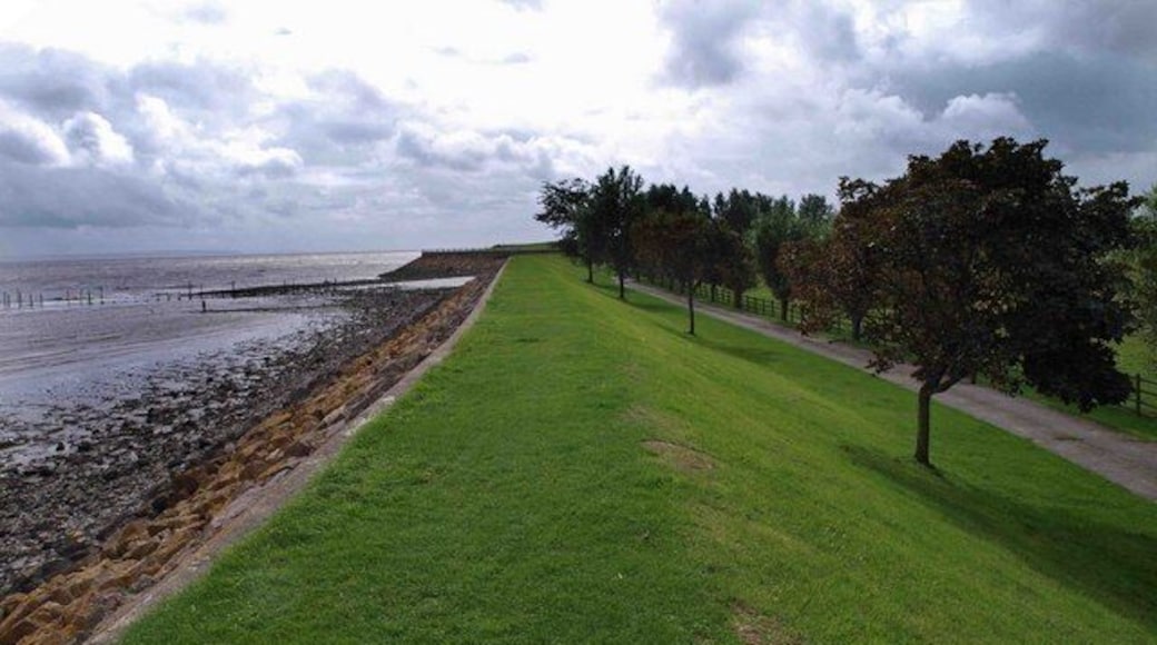 A grassy path beside a rocky shoreline with a pier extending into the water.