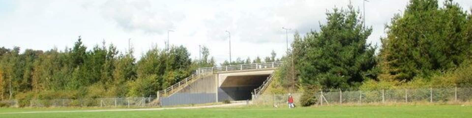 Glebelands, Newport The Glebelands is a large recreation and sports area bordering the River Usk. It is split in two by the M4 motorway. This view is from the south side, towards the motorway bridge.