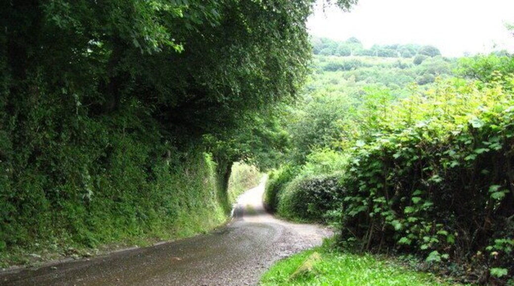 Ty-bwmpyn Lane This picture was taken from the entrance to the drive to Yew Tree Cottage. It shows how narrow the lane is. The recent heavy rainfall has caused gravel to be washed onto the road.