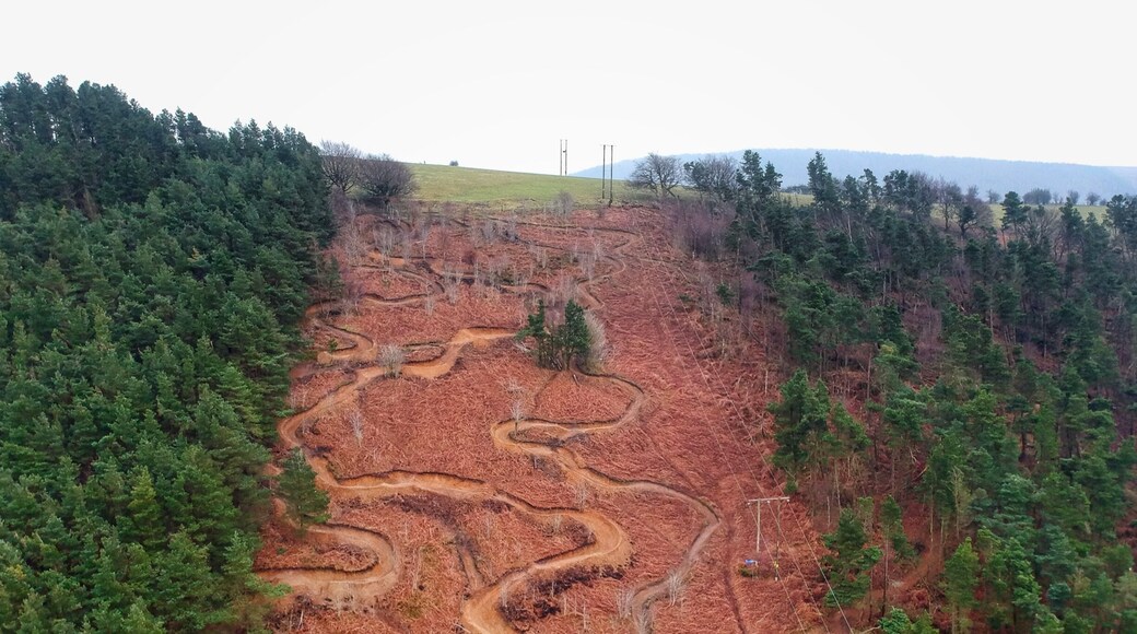 Carved into a Welsh Hill side in South Wales. These tracks were all built by hand by the local riders in the area.
#aboveitall