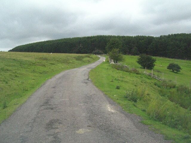Unfenced road through Cefn-Crib Sheep can graze freely wherever they want on the top of this hill, and you have to drive slowly in case they decide to cross. The boundary of the grazing land is to the right of this picture. Blaen-y-Cwm farm is to the right. There is plantation woodland straight ahead.