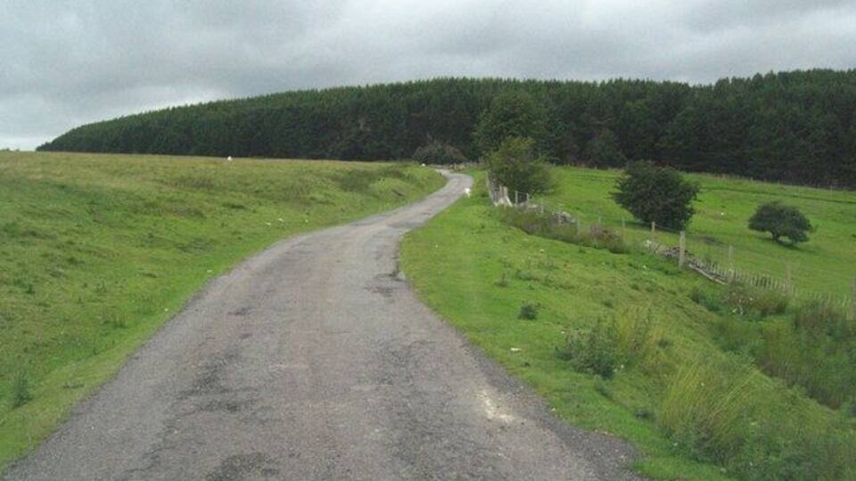 Unfenced road through Cefn-Crib Sheep can graze freely wherever they want on the top of this hill, and you have to drive slowly in case they decide to cross. The boundary of the grazing land is to the right of this picture. Blaen-y-Cwm farm is to the right. There is plantation woodland straight ahead.