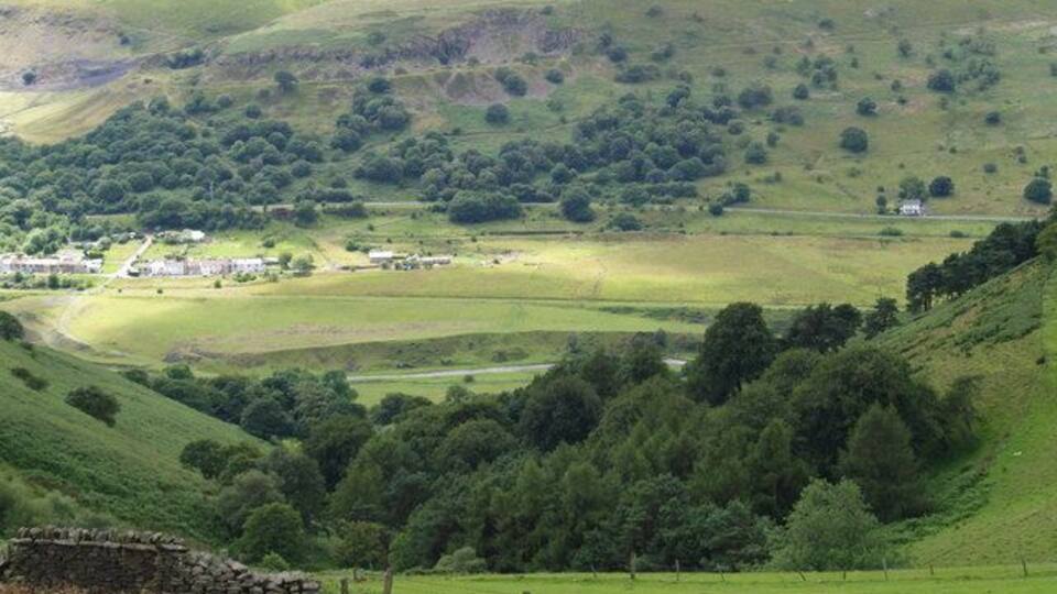 Wood on the edge of Manmoel Common