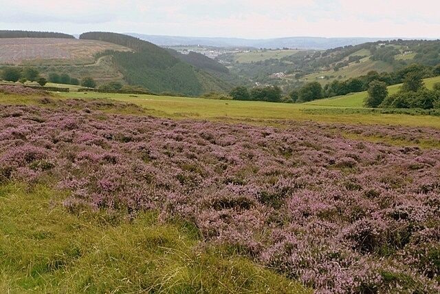 Nant yr Helyg from the Man-moel Road The Sirhowy Valley Walk gets up above the valley of Nant yr Helyg. This is looking south with Hollybush in the distance.