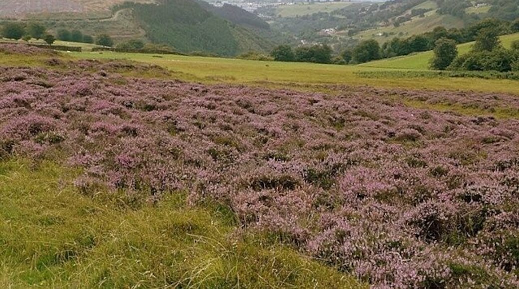 Nant yr Helyg from the Man-moel Road The Sirhowy Valley Walk gets up above the valley of Nant yr Helyg. This is looking south with Hollybush in the distance.