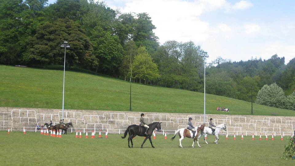 Rugby Ground and Hillside The rugby ground and a wooded hillside in Pontypool Ppark, seen with a horse show taking place. Keywords: sports ground, hill, trees